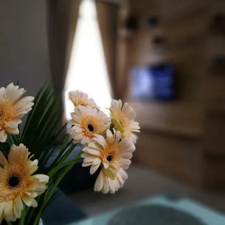 Apartman Mishama Karlovy Vary